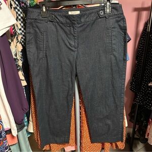 LOFT Dark Blue Capris